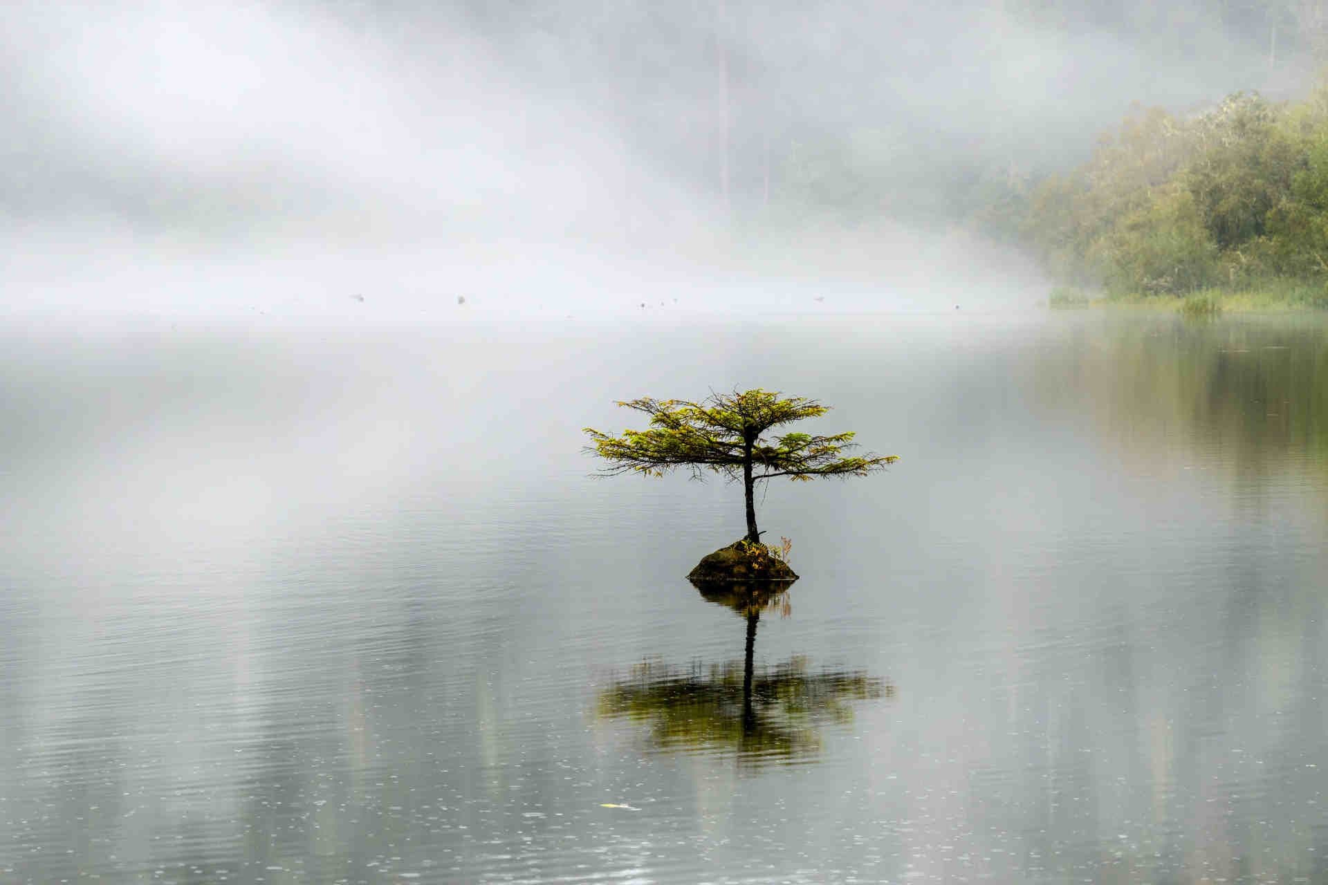 la strategia della spagna contro la solitudine