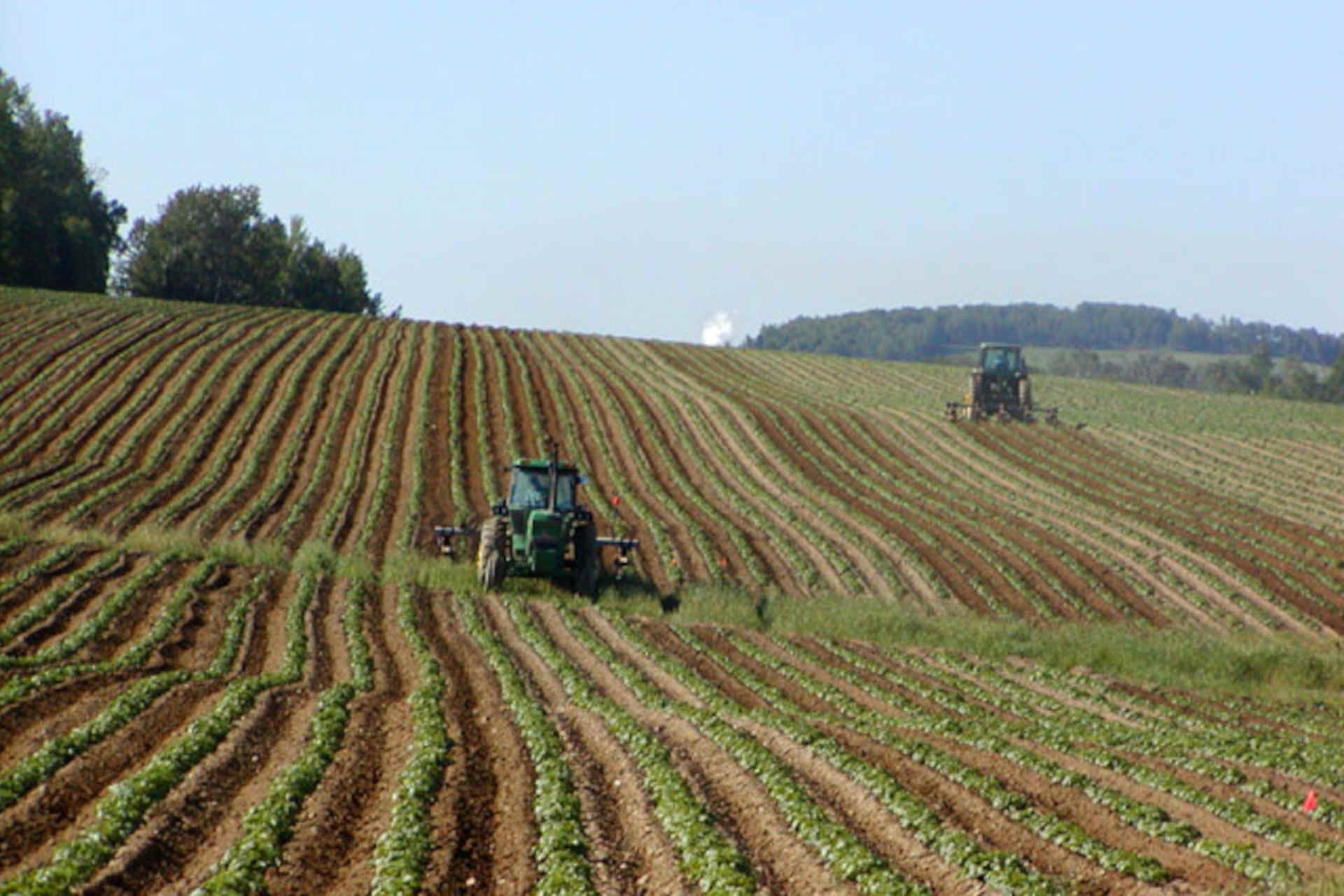 La scarsità è naturale?